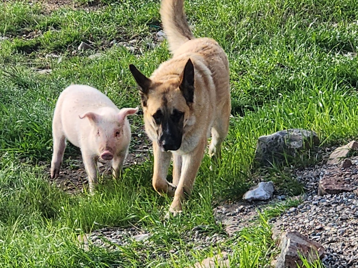 Join Us for Our First Community Dinner at Nacho Mama’s February 25 from&nbsp;4-6pm